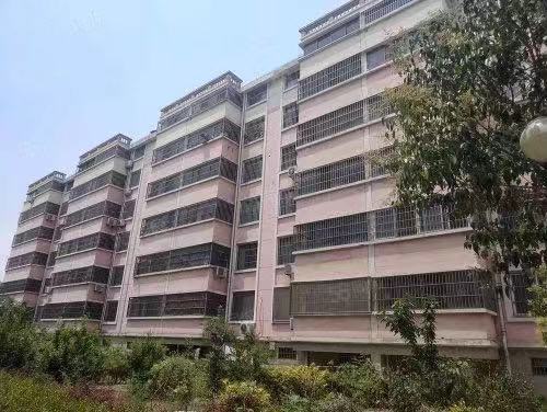 贵和花园好楼层 三室两厅一卫 送地下室证满五年
