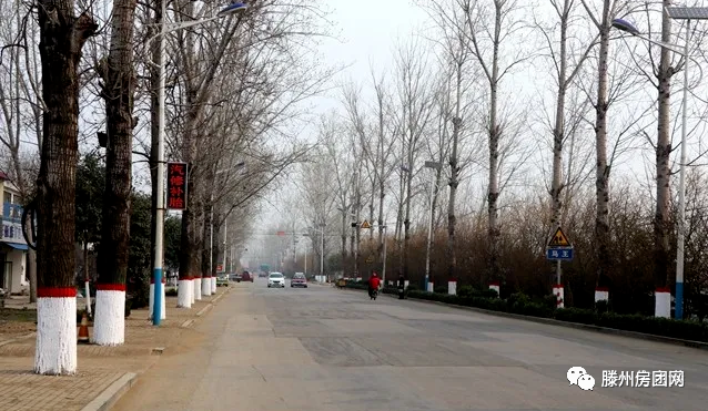 滕龙路扩建需要，将征收北辛、龙阳的这7个村居(图2)
