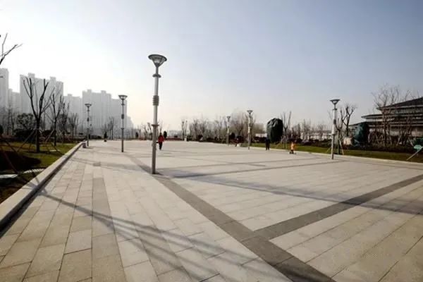 龙泉街道召开新旧动能转换项目及路域环境现场观摩会，附20个项目简介(图8)
