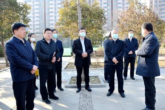 马宏伟到北辛街道调研重点项目建设情况(图5)