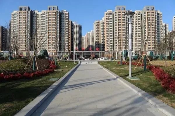 滕州：龙泉街道2021年实施重点项目60个，2所小学年内完成建设！(图5)