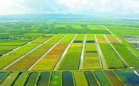 滕州：城区大片土地启动征收，这里将发生大变化！(图1)