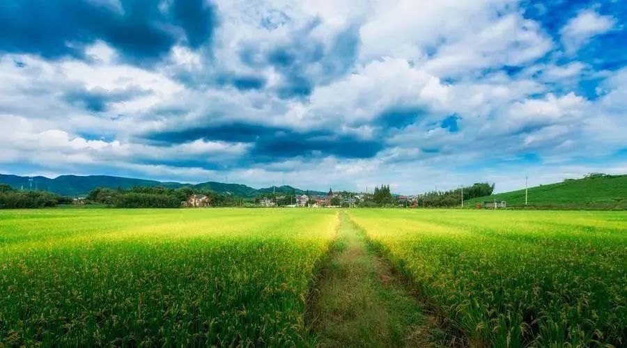 滕州：城区大片土地启动征收，这里将发生大变化！(图2)