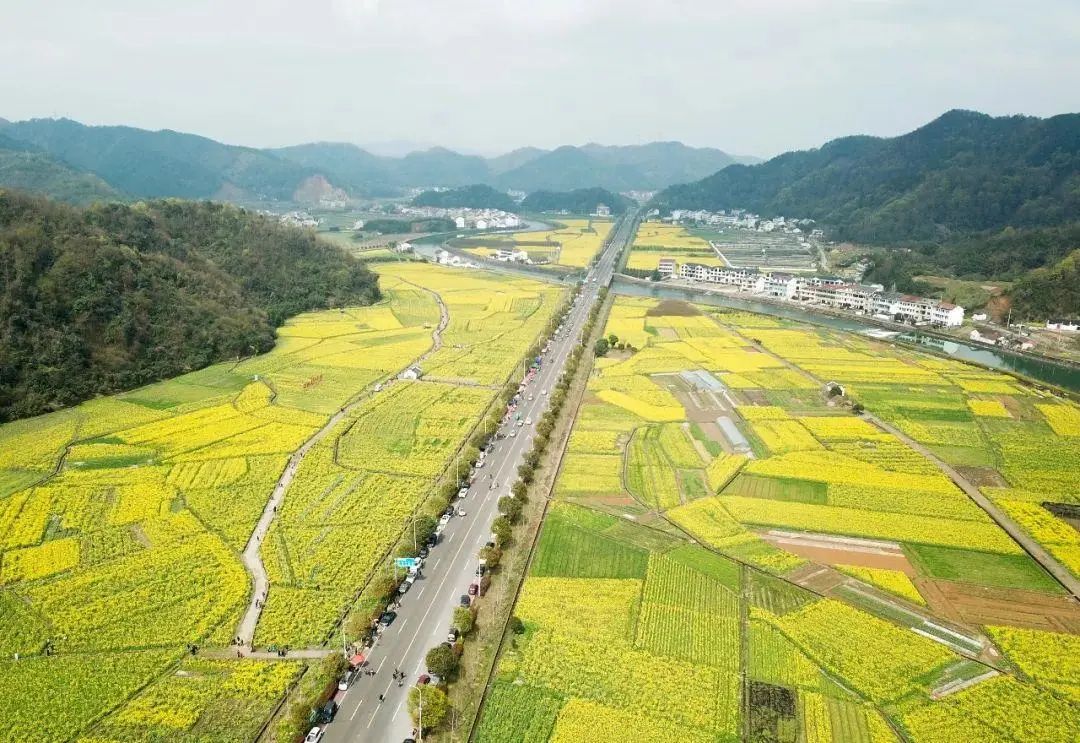 滕州：城区大片土地启动征收，这里将发生大变化！(图4)