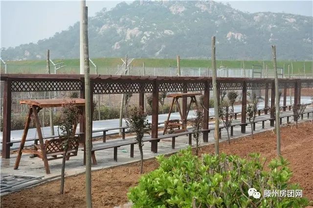 滕州龙山生态动物园项目大熊猫馆建设最新动态(图2)