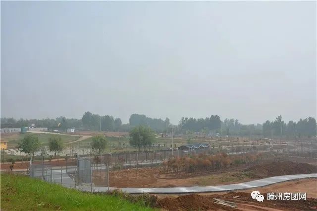 滕州龙山生态动物园项目大熊猫馆建设最新动态(图4)