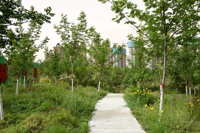 六大工程，65个项目建设！滕州城北这片区域正在发生着巨变！(图7)