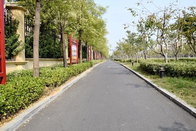 六大工程，65个项目建设！滕州城北这片区域正在发生着巨变！(图8)