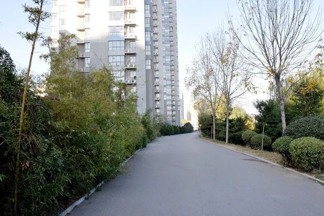 六大工程，65个项目建设！滕州城北这片区域正在发生着巨变！(图9)
