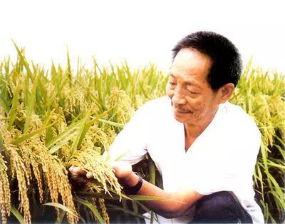 默哀！袁隆平逝世！(图2)