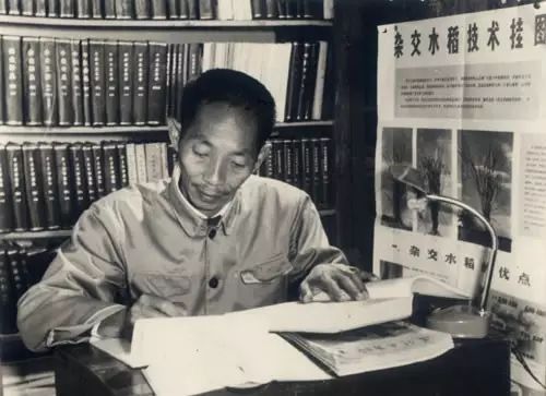 默哀！袁隆平逝世！(图5)