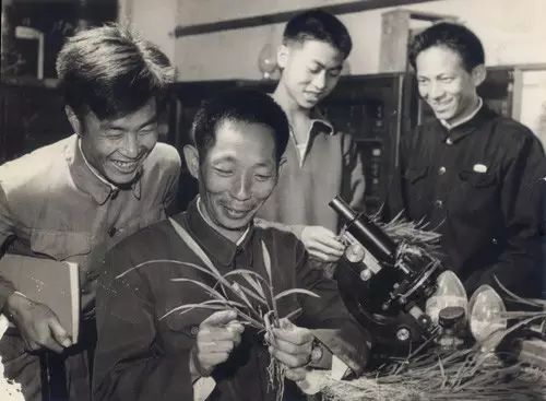 默哀！袁隆平逝世！(图8)
