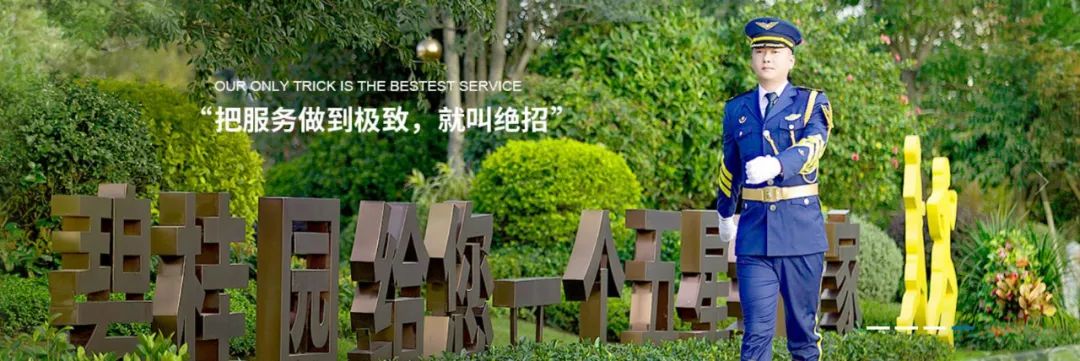 半年热销全滕州，流量红盘何以持续？小编带你来解密(图6)