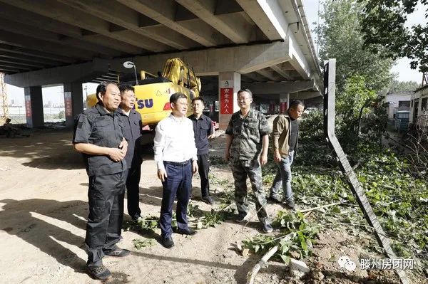 龙泉街道开展墨子湖西侧区域“攻坚扫尾”行动(图1)