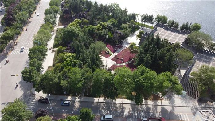 滕州全市上下齐发力 共赢创卫复审之战(图2)