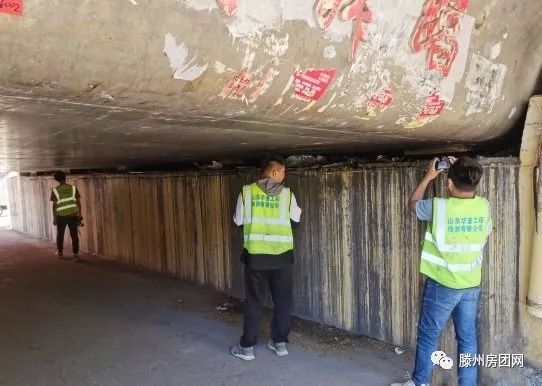 滕州市政工程管理中心开展桥梁检测，保障运行安全！(图4)